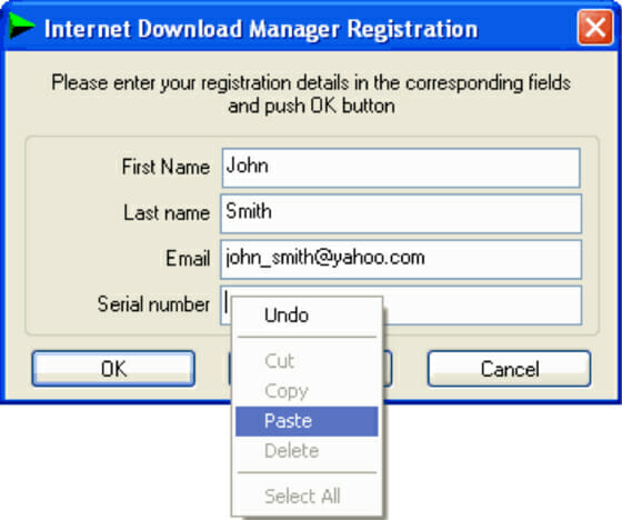 internet download manager crack no serial key